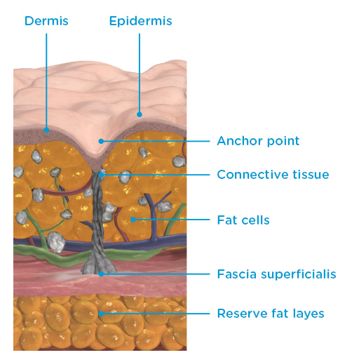 Emtone how does it work image 1b Emtone how does it work image 1b